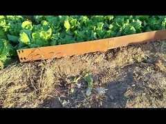 1SGS 000mm*1.6mm*100mm  Galvanized Corten Steel Border Edging Corten Lawn Edging